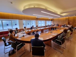 L'audizione odierna in commissione Sanità L'audizione odierna in commissione Sanità