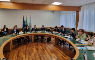 La seduta odierna della commissione Sanit