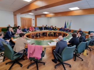 L'audizione di oggi in dodicesima commissione L'audizione di oggi in dodicesima commissione