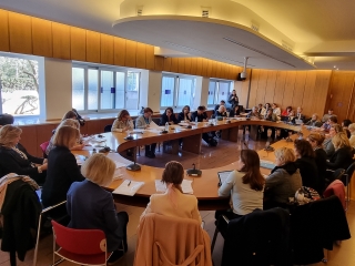 L'audizione in prima commissione sulla proposta di legge di riforma della Consulta femminile. L'audizione in prima commissione sulla proposta di legge di riforma della Consulta femminile.