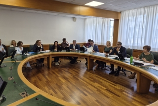 La seduta odierna della commissione Cultura. La seduta odierna della commissione Cultura.