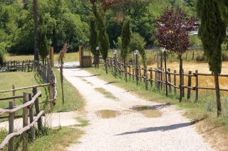Foto Flickr di Raffaele Birnardo. Foto Flickr di Raffaele Birnardo.