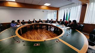 Audizione undicesima commissione Audizione undicesima commissione