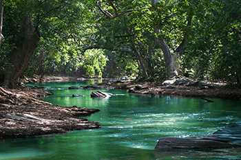 Foto di Ian Turnell: https://www.pexels.com/it-it/foto/specchio-d-acqua-tra-alberi-a-foglia-verde-709552/