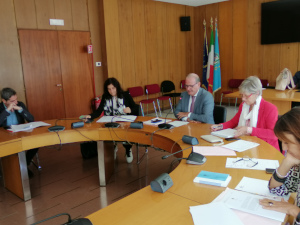 Un momento dell'audizione di oggi. Un momento dell'audizione di oggi.