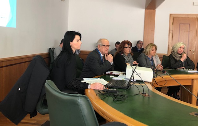L'audizione in commissione Sanità L'audizione in commissione Sanità