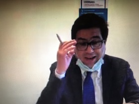 L'assessore D'Amato durante un'audizione in videoconferenza L'assessore D'Amato durante un'audizione in videoconferenza