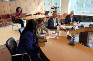 L'audizione di oggi. L'audizione di oggi.