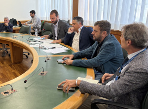 L'audizione di oggi. L'audizione di oggi.