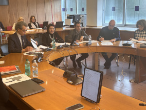 La seduta della commissione La seduta della commissione