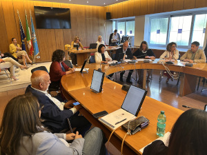 La seduta della commissione Sanità.