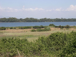 Un lago regionale, quello di Fogliano. Un lago regionale, quello di Fogliano.