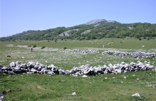 Un'immagine del Pratone di Monte Gennaro nel Parco dei Monti Lucretili. Un'immagine del Pratone di Monte Gennaro nel Parco dei Monti Lucretili.