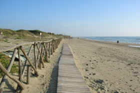 Una veduta della spiaggia di Capocotta, nella Riserva naturale del litorale romano. Una veduta della spiaggia di Capocotta, nella Riserva naturale del litorale romano.