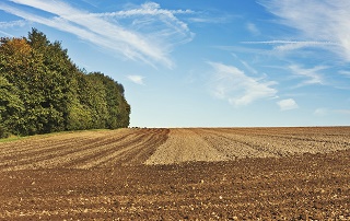 Un campo agricolo.