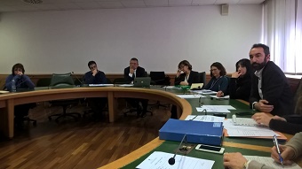 Un momento di una recente audizione in terza commissione.