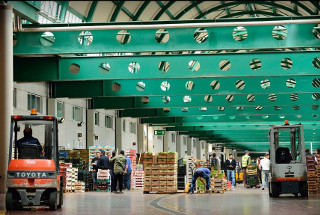 servizi agroalimentari servizi agroalimentari