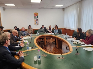 Seduta della commissione Semplificazione amministrativa