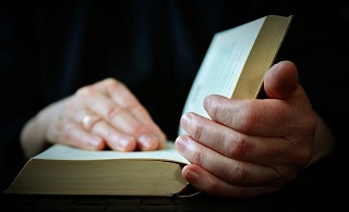 Un libro. Un libro.