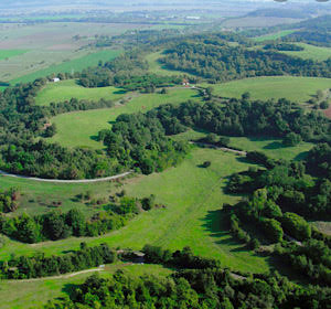 Parco della Marcigliana Parco della Marcigliana