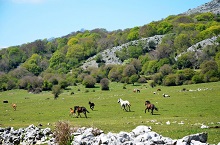 Una veduta del parco regionale dei Monti Lucretili.