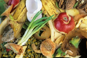 rifiuti organici, la materia prima per produrre il compost rifiuti organici, la materia prima per produrre il compost