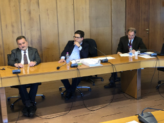 Un momento dell'audizione dell'assessore D'Amato