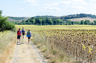 la via Francigena (foto di Luca Casartelli) la via Francigena (foto di Luca Casartelli)