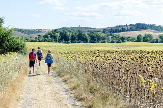 la via Francigena (foto di Luca Casartelli)