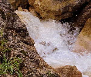 Acqua. Acqua.