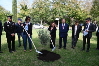 La piantumazione dell'ulivo nel Parco della Pace, dedicato simbolicamente a tutti i caduti in servizio.