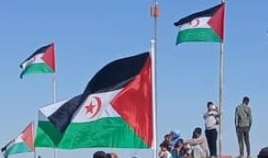 Bandiere Saharawi