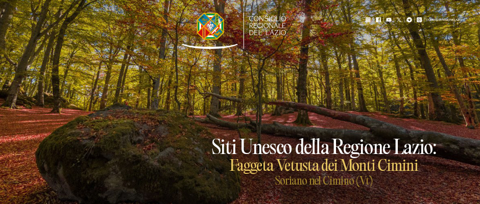 Faggeta Monti Cimini