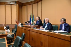 Un momento della seduta di oggi.