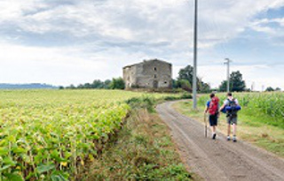 Foto di Luca Casartelli.