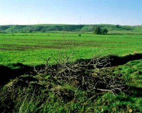 Una panoramica della riserva.